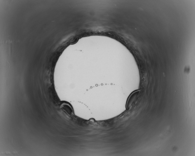 X0000101671205200808071037