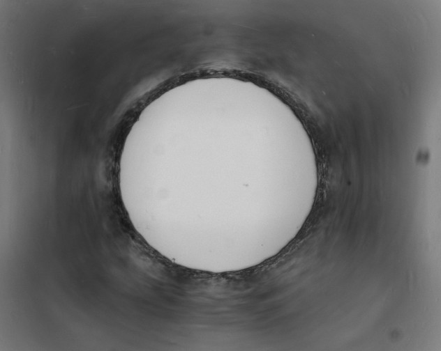 X0000101671207200808071037