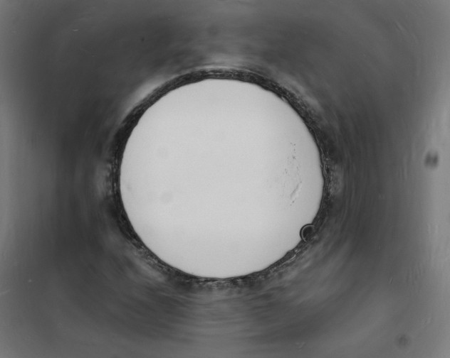 X0000101671208200808071037