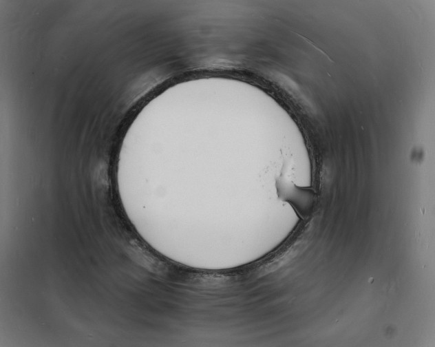 X0000101671209200808071037