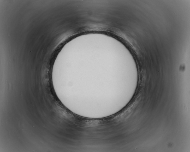 X0000101671211200808071037