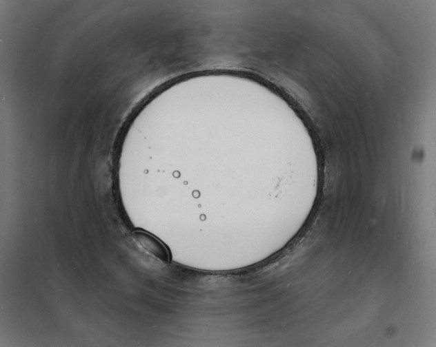 X0000101671212200808071037