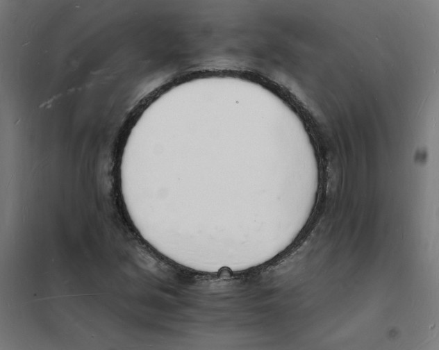 X0000101671213200808071037