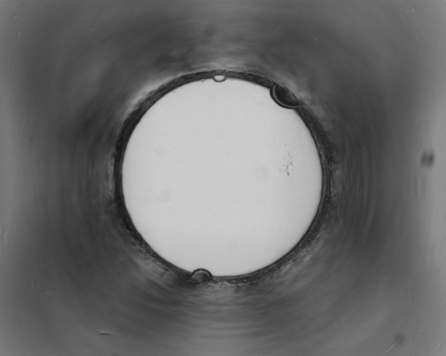 X0000101671214200808071037