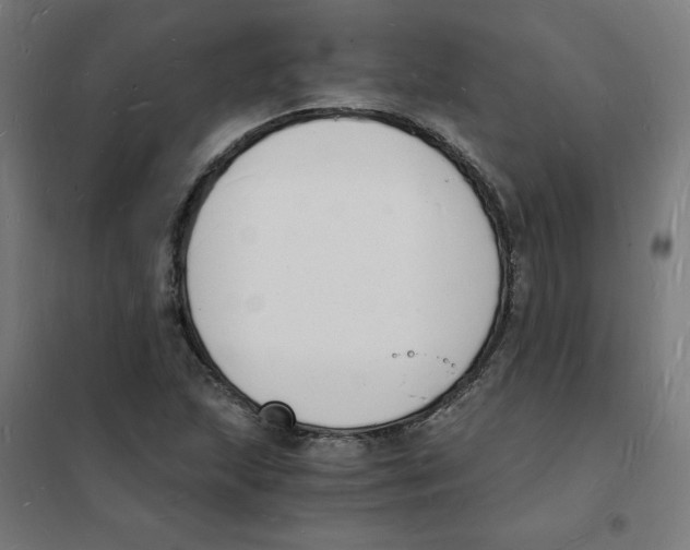 X0000101671215200808071037