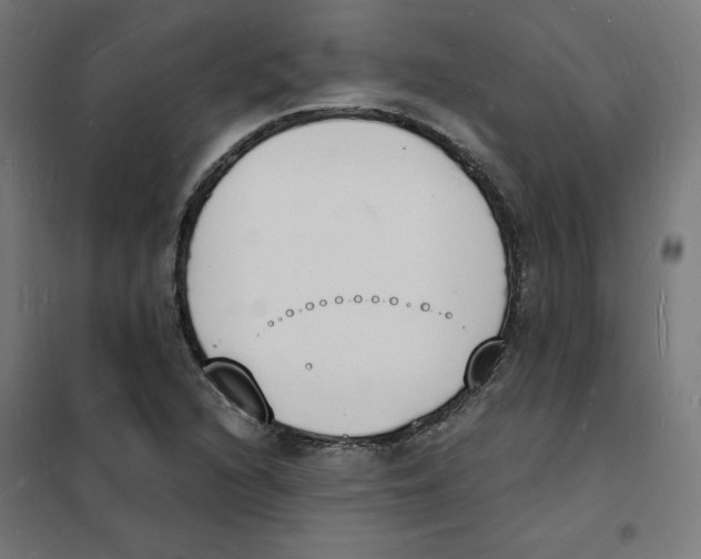 X0000101671216200808071037