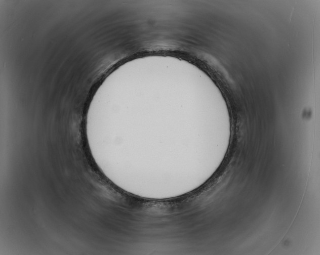 X0000101671217200808071037