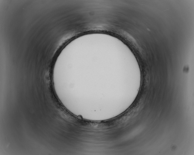 X0000101671218200808071037