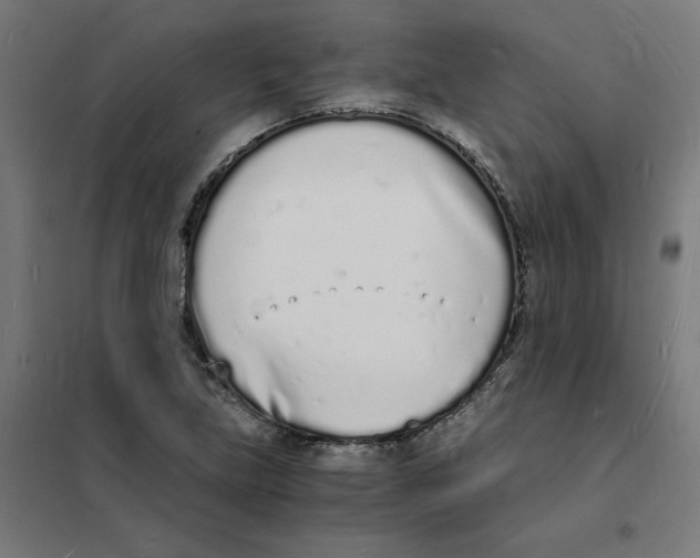 X0000101671219200808071037