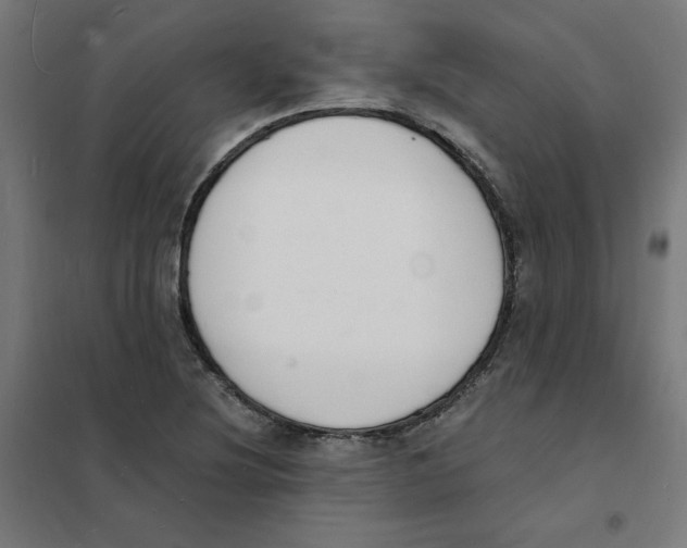 X0000101671220200808071037