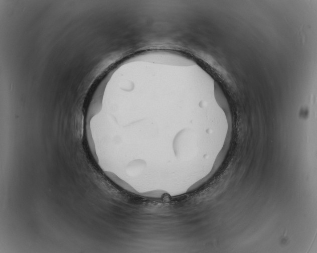 X0000101671221200808071037