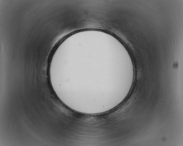 X0000101671222200808071037
