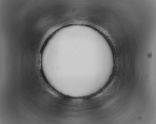 X0000101671223200808071037