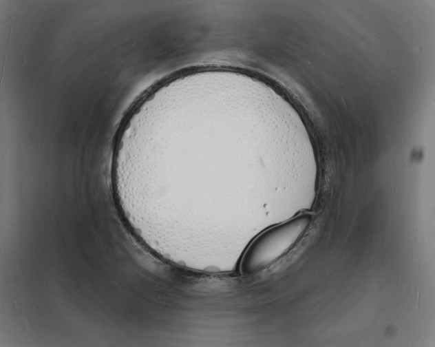 X0000101671224200808071037
