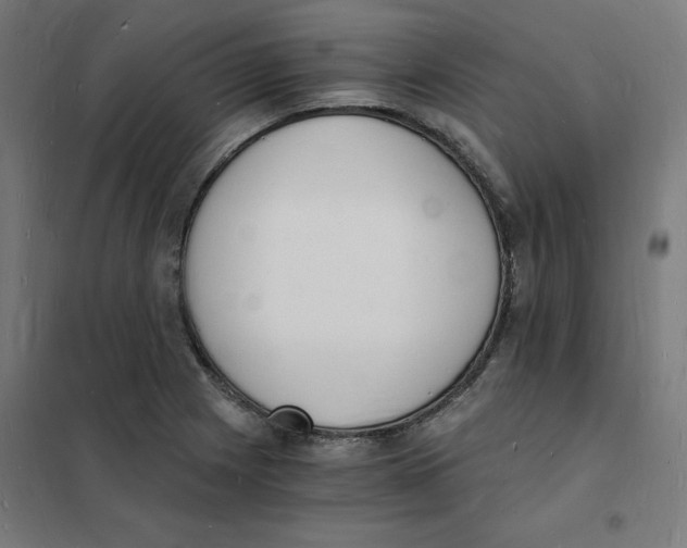 X0000101671225200808071037