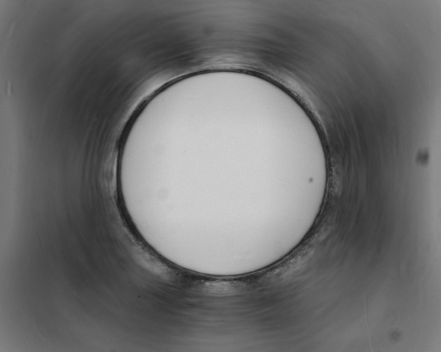 X0000101671227200808071037