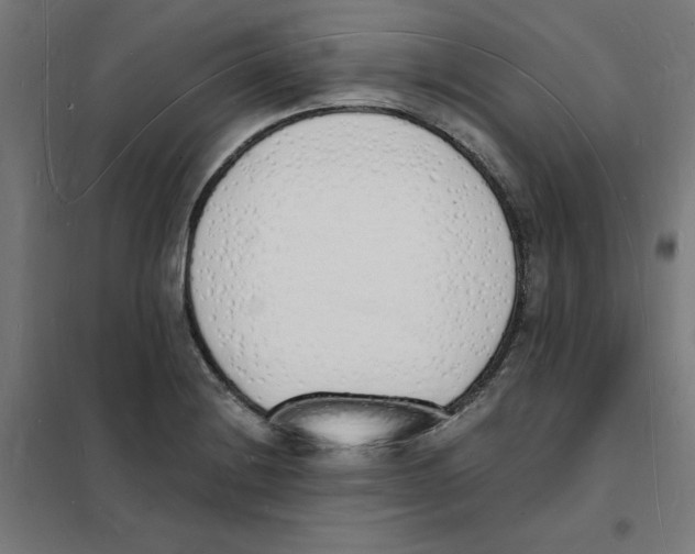 X0000101671228200808071037
