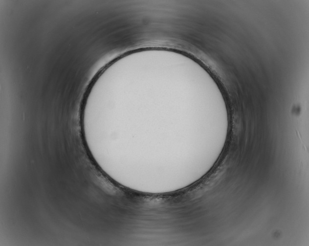 X0000101671230200808071037