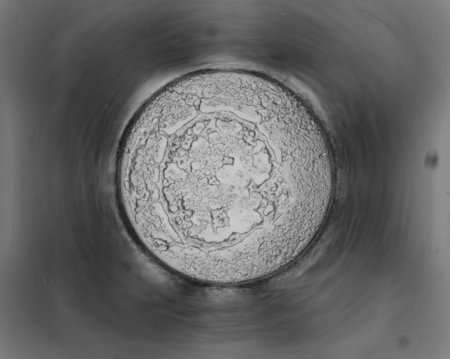 X0000101671231200808071037