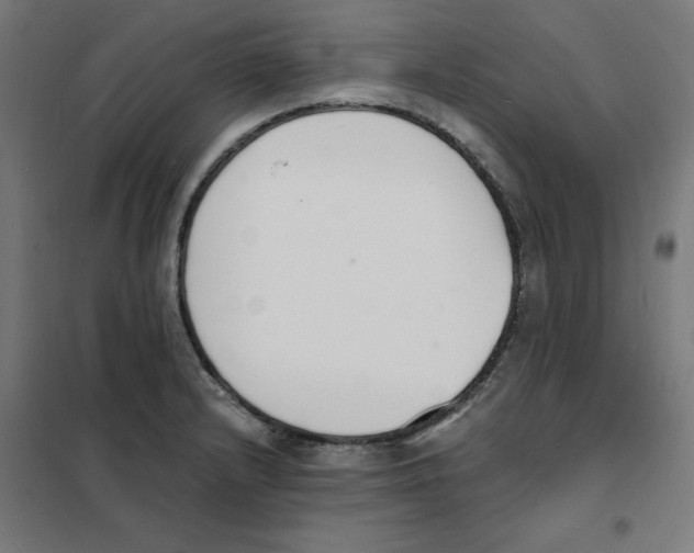 X0000101671232200808071037