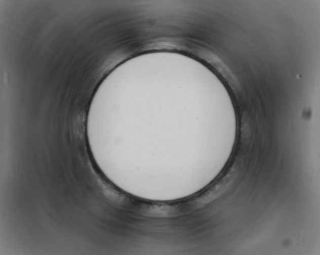 X0000101671233200808071037