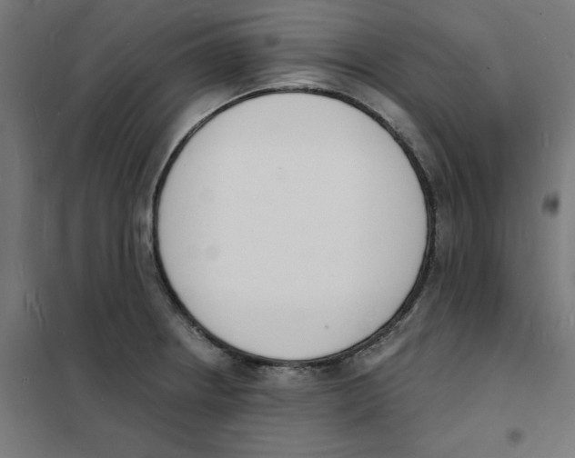 X0000101671234200808071037