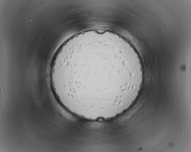 X0000101671235200808071037