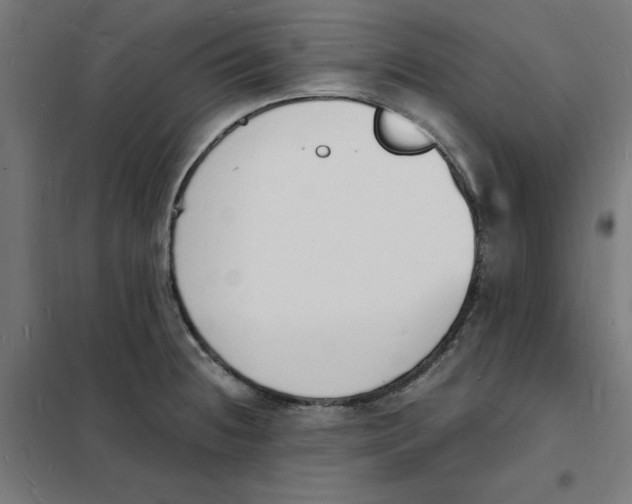 X0000101671236200808071037