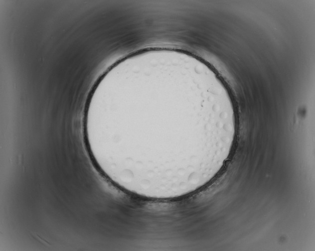 X0000101671237200808071037