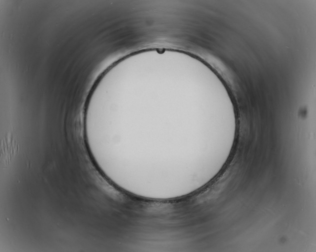 X0000101671238200808071037