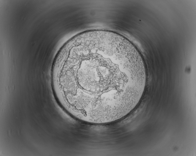X0000101671239200808071037