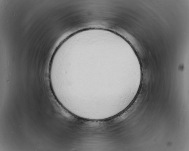 X0000101671240200808071037