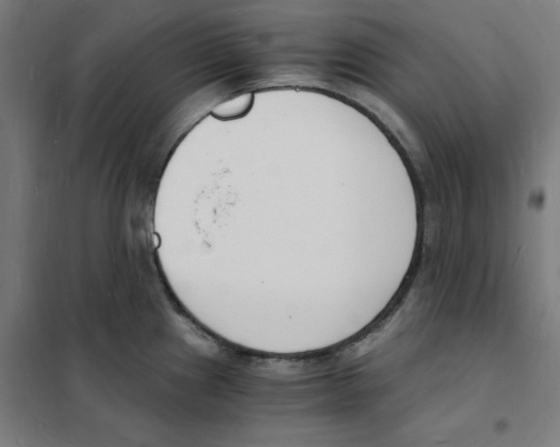 X0000101671241200808071037
