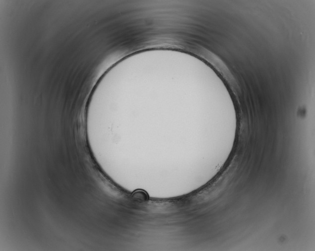 X0000101671242200808071037