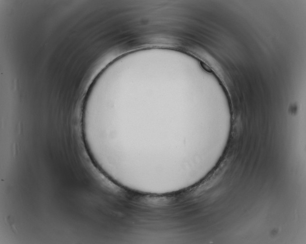 X0000101671243200808071037