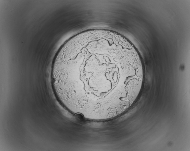 X0000101671245200808071037