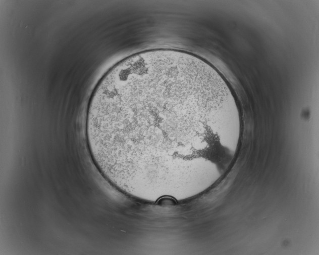 X0000101671246200808071037