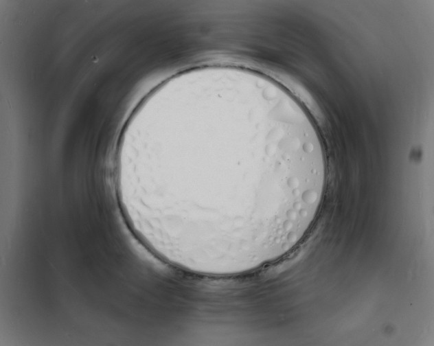 X0000101671247200808071037