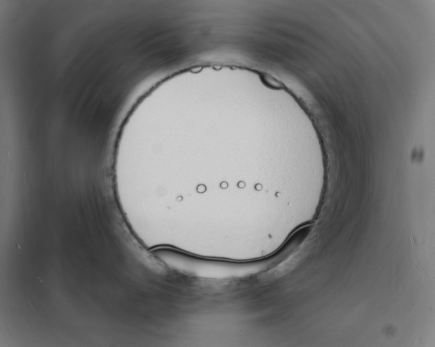 X0000101671248200808071037