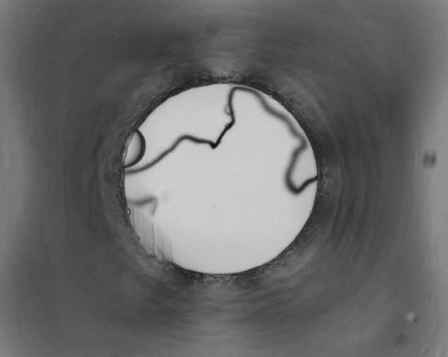 X0000101671249200808071037