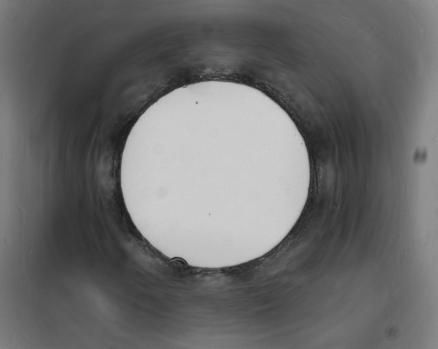 X0000101671250200808071036