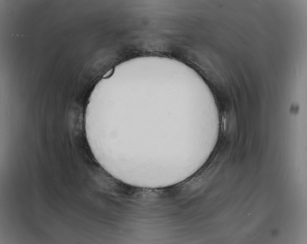 X0000101671251200808071036
