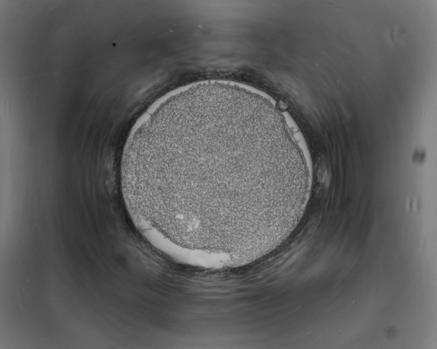 X0000101671252200808071036