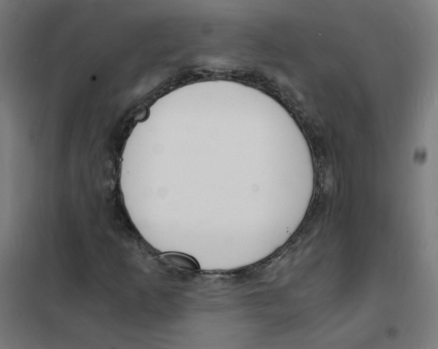 X0000101671253200808071036