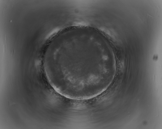 X0000101671254200808071036