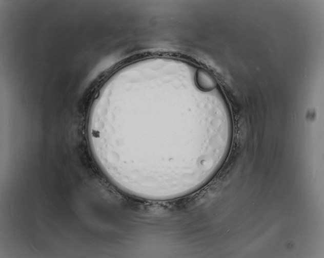 X0000101671255200808071036