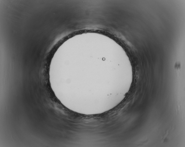 X0000101671256200808071036