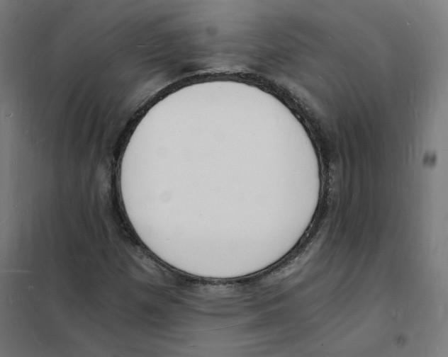 X0000101671257200808071036