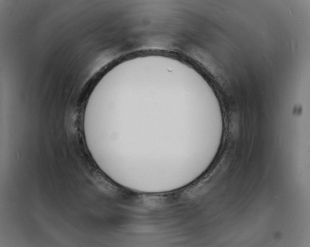 X0000101671258200808071036