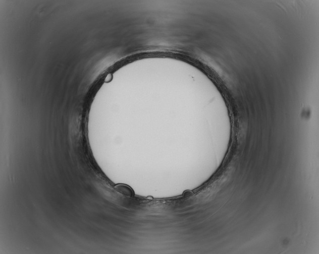 X0000101671259200808071036